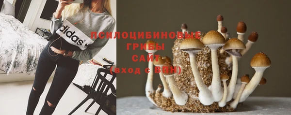 мет Абинск