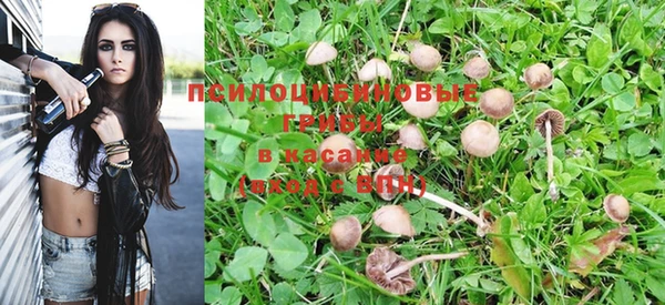 каннабис Абаза
