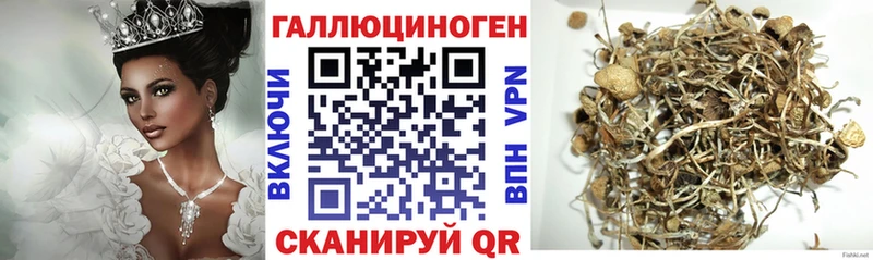 Галлюциногенные грибы прущие грибы Брюховецкая